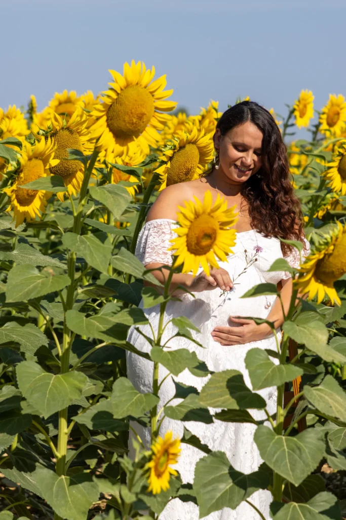 Tournesol champ photo de grossesse Constance